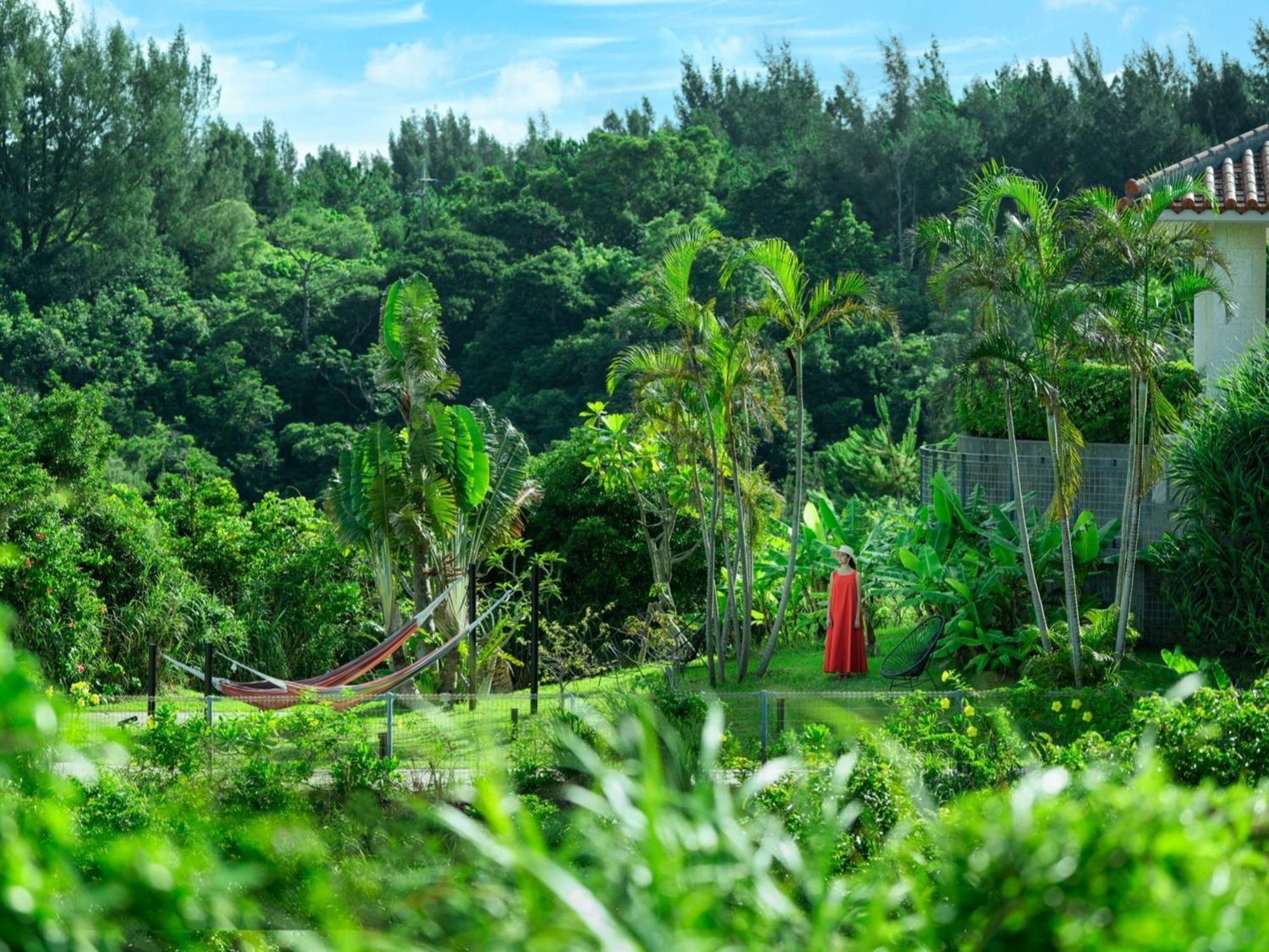 Oriental Hotel Okinawa Resort & Spa Наго Экстерьер фото A view of the forest from the house